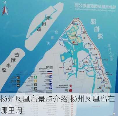 扬州凤凰岛景点介绍,扬州凤凰岛在哪里啊