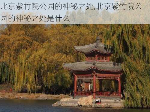 北京紫竹院公园的神秘之处,北京紫竹院公园的神秘之处是什么