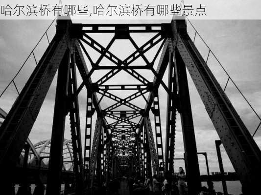 哈尔滨桥有哪些,哈尔滨桥有哪些景点