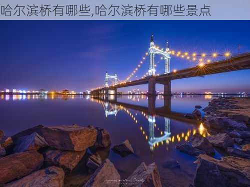 哈尔滨桥有哪些,哈尔滨桥有哪些景点